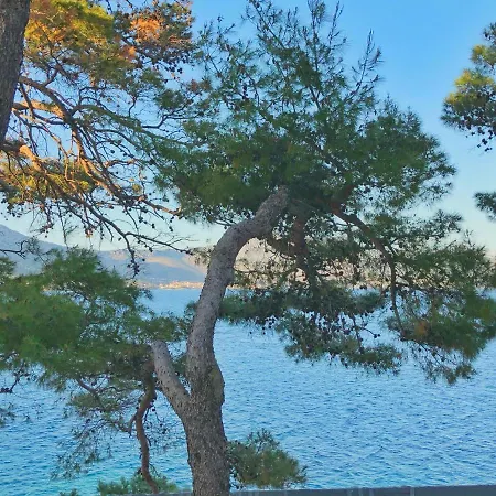 Πανσιόν Rondina House 3*