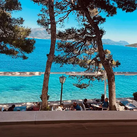 Rondina House Gæstehus