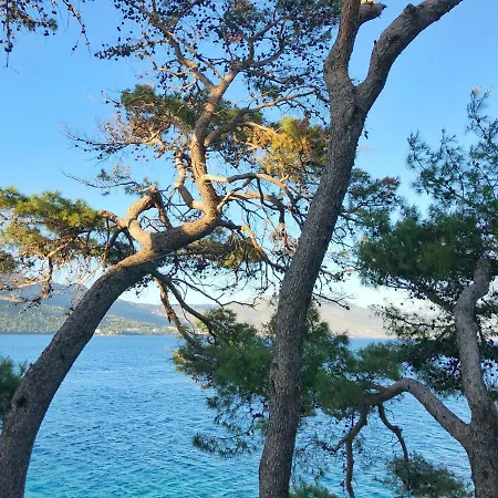 Rondina House Konukevi Korčula